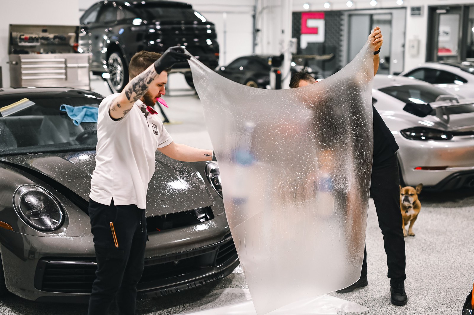 Technician applying a ceramic coating in a detail shop